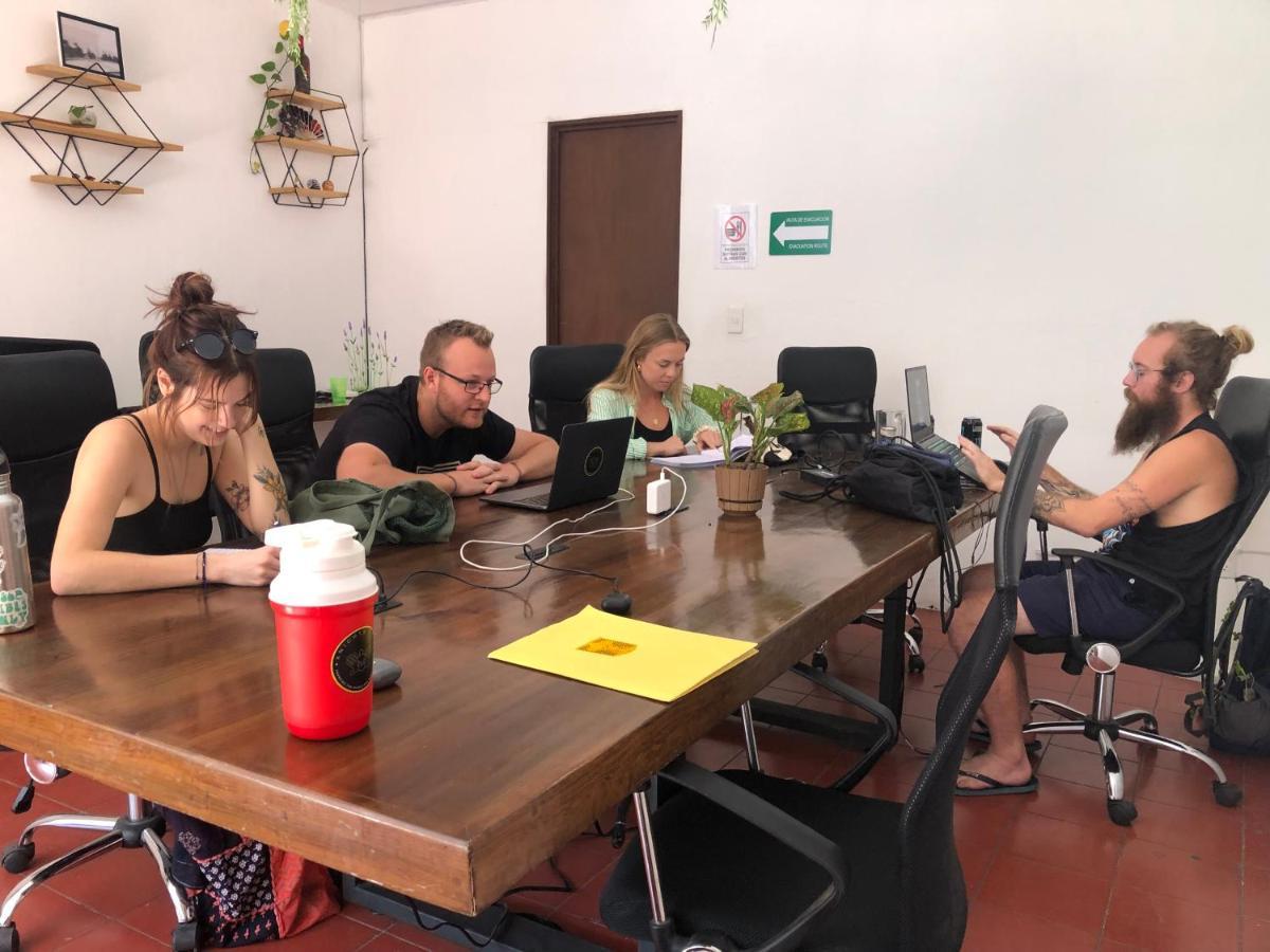 Leveli Coliving Vandrarhem Guadalajara Exteriör bild
